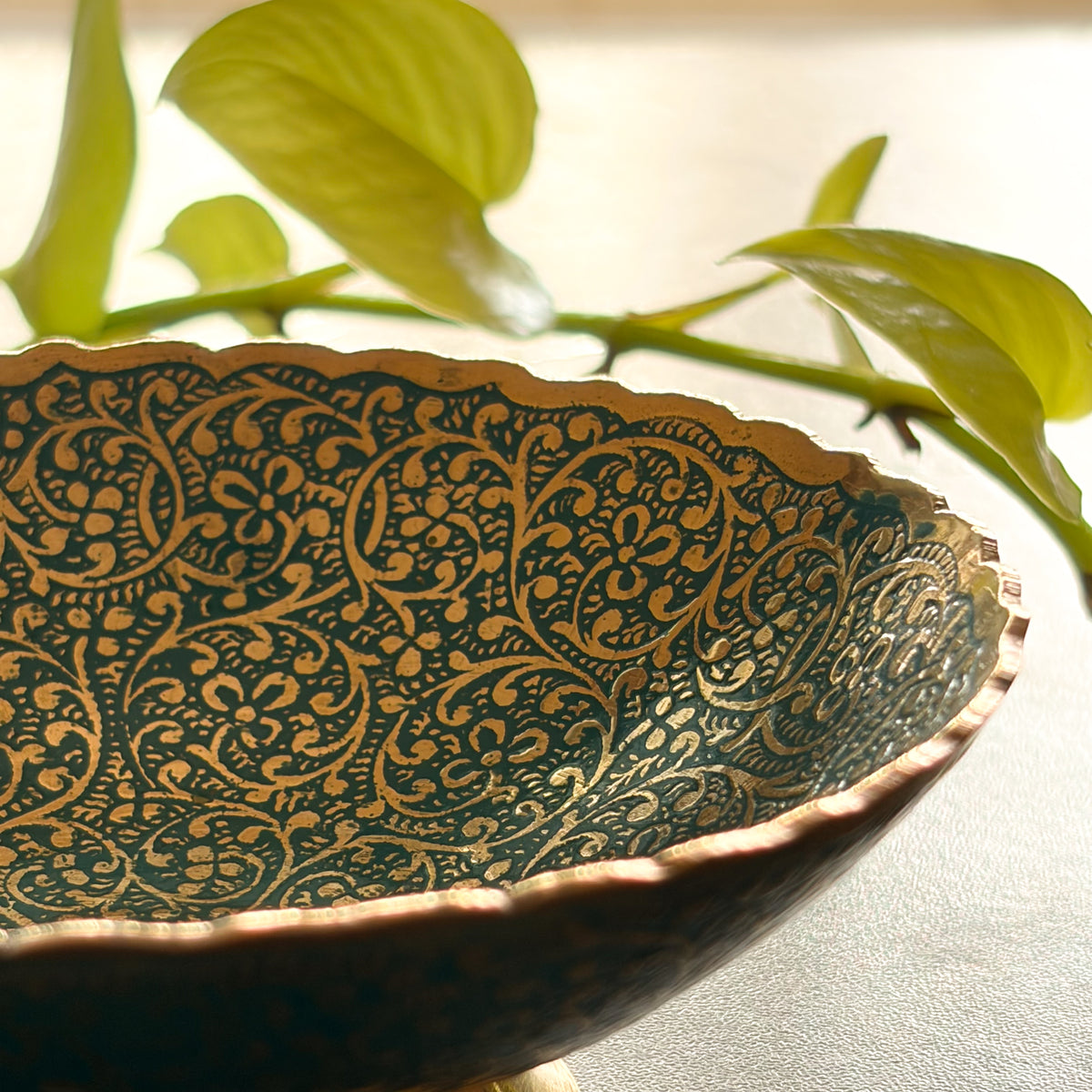 Paatra - Aqua Bowl